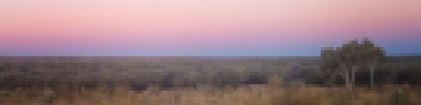 Header Background Image